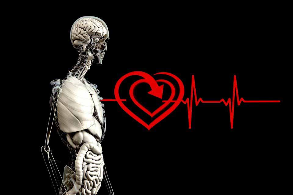 Болезнь сердца может предотвратить запор