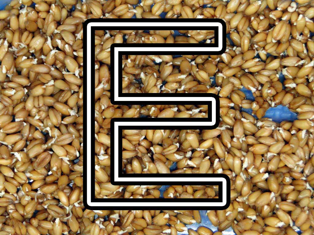 Ученые доказали преимущества проросшей пшеницы в борьбе с раком