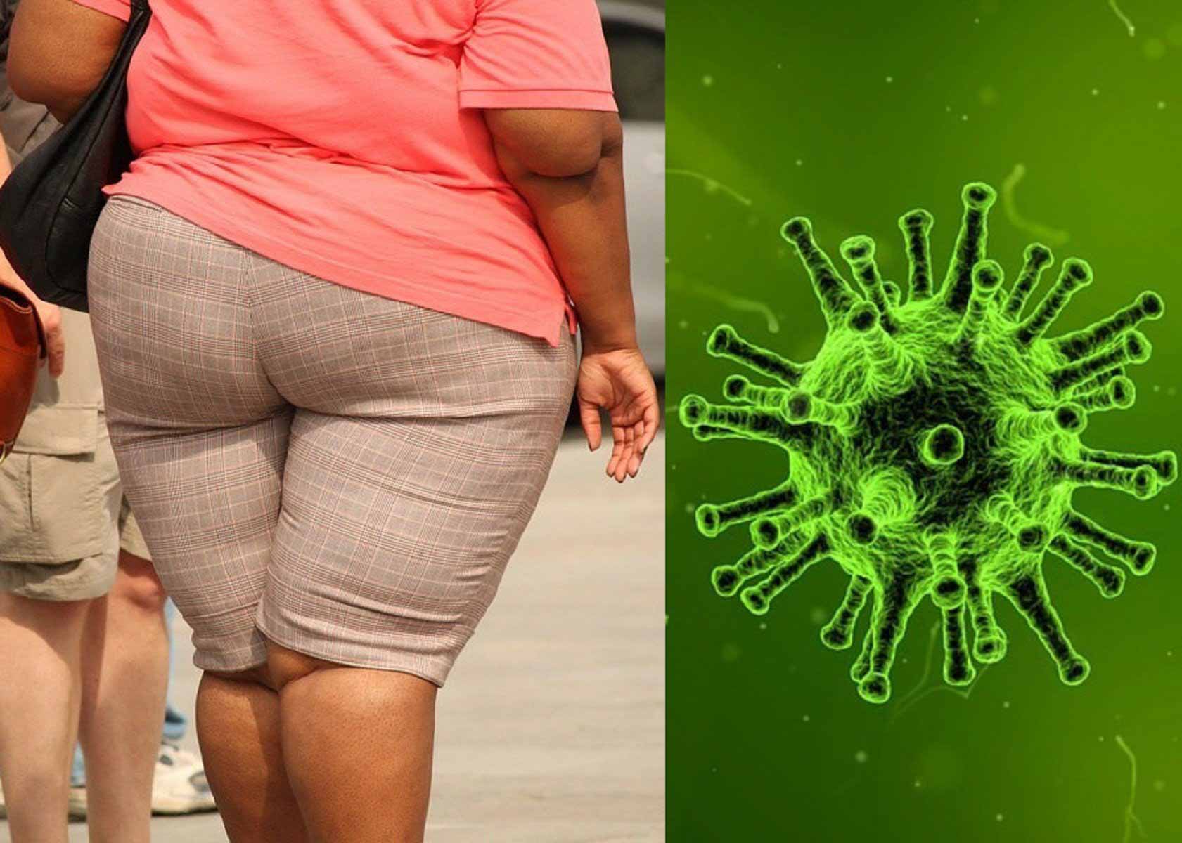 Инфекционное заболевание? Вирусы вызывают ожирение, а не переедание