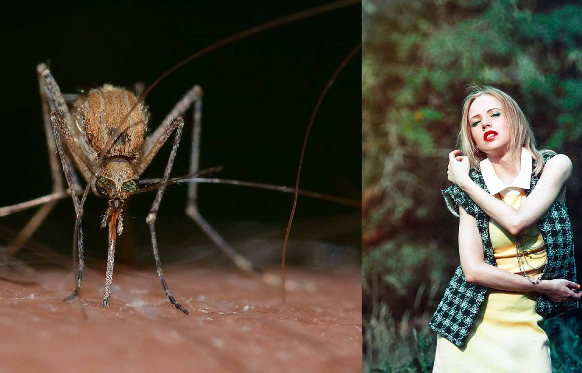 Как защитить себя от укусов насекомых в природе