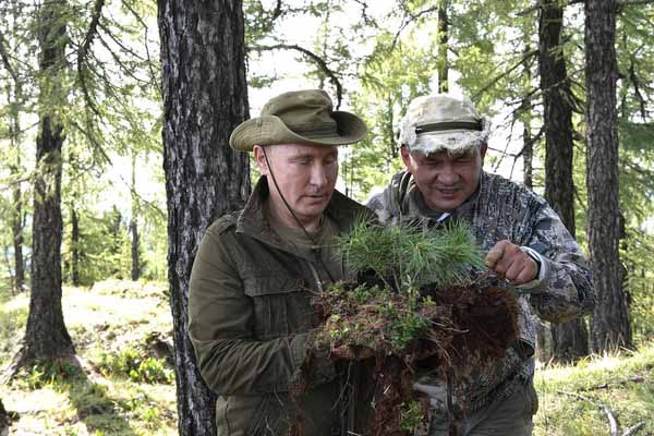 Владимир Путин и Сергей Шойгу во время прогулки по тайге