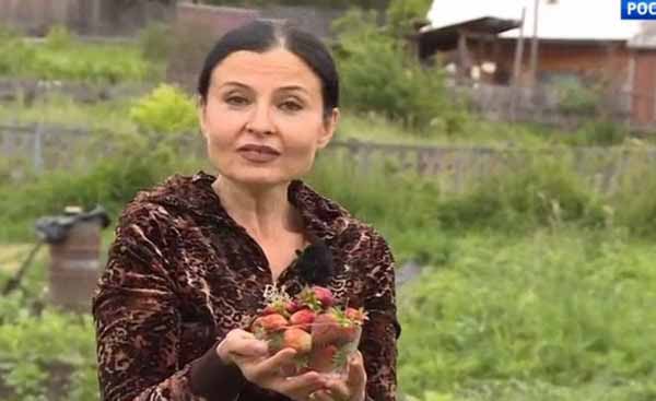 Владимирская занимается садом в деревне 