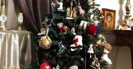 Праздник на носу!  Новогодние елки Самойловой, Тарасовой, Волочковой и других звезд