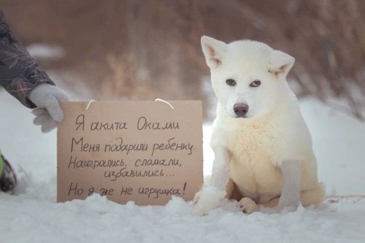 Оками теперь нужно длительное лечение Оками теперь нужно длительное лечение