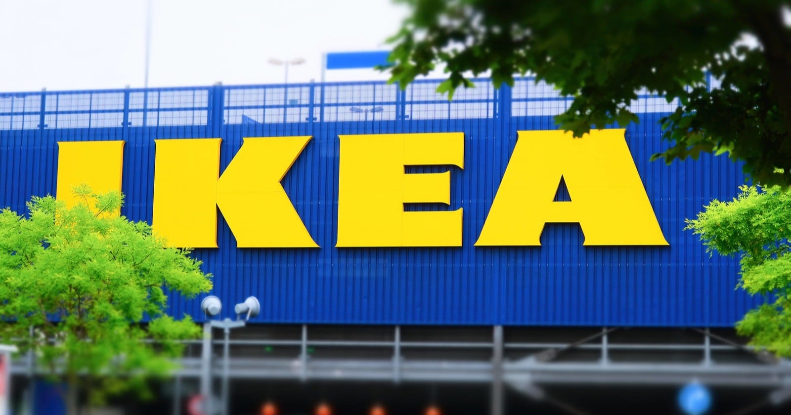 Тысячи акул, 15% скидки для своих и запрет на перекупщиков: как ИКЕА прощается с Россией