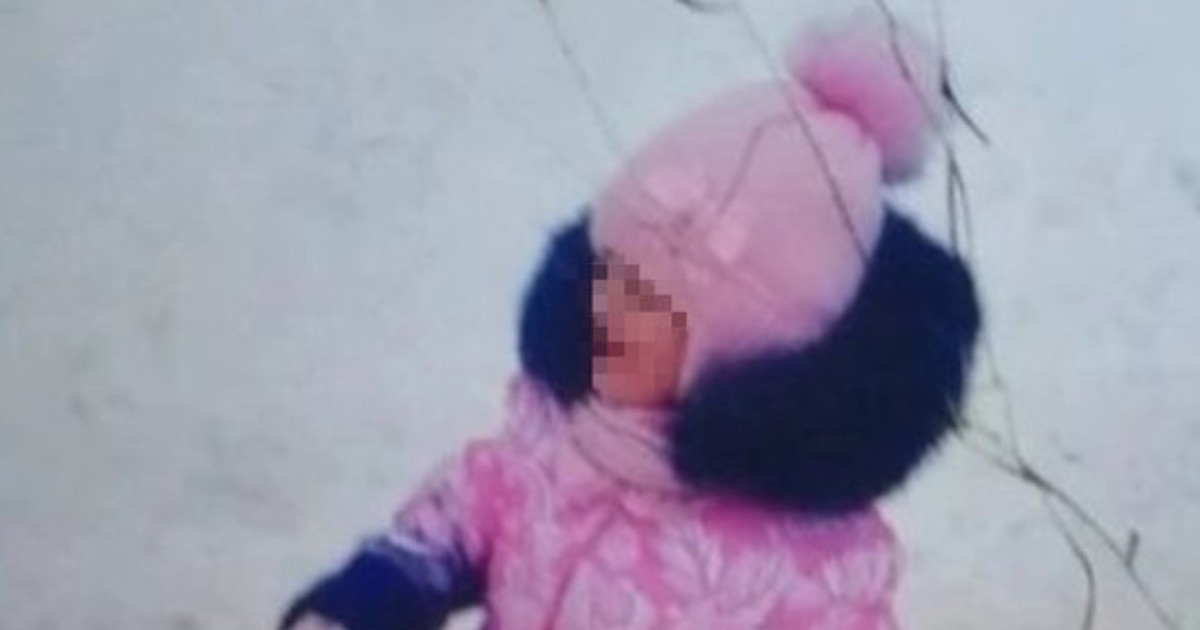 Педофилы, похитившие и убившие 5-летнюю девочку в Костроме средь бела дня, отправятся за решетку пожизненно