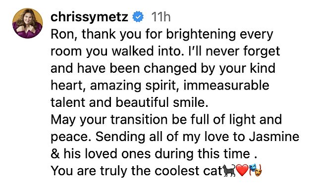 Доброе сердце: звезда «Это мы» Крисси Мец, сыгравшая Кейт Пирсон, опубликовала свою фотографию с Роном и ведущими актерами «Это мы».