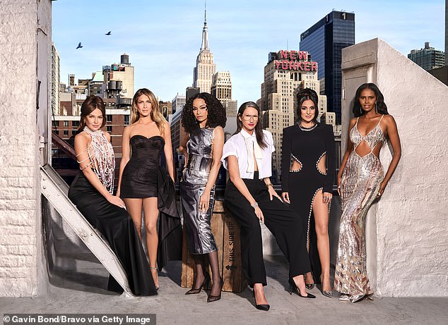 Свежее мясо: RHONY недавно вернулась в «Браво» в перезагруженном формате с совершенно новым составом женщин