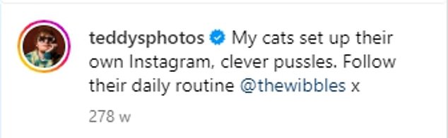 Любитель кошек: еще в 2018 году звезда даже создала аккаунт в Instagram, посвященный Дорито и Калиппо его кошачьих.