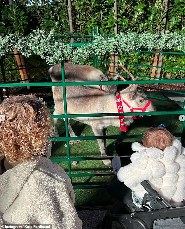 Мило: Во время своей напряженной недели Кейт водила своих детей посмотреть на оленей в зимнем гроте.