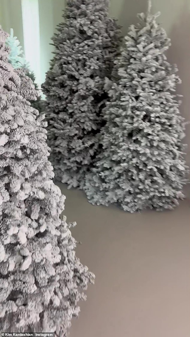 На видео камера показывает белые деревья и неторопливо поворачивает за угол, открывая длинный коридор, украшенный деревьями.