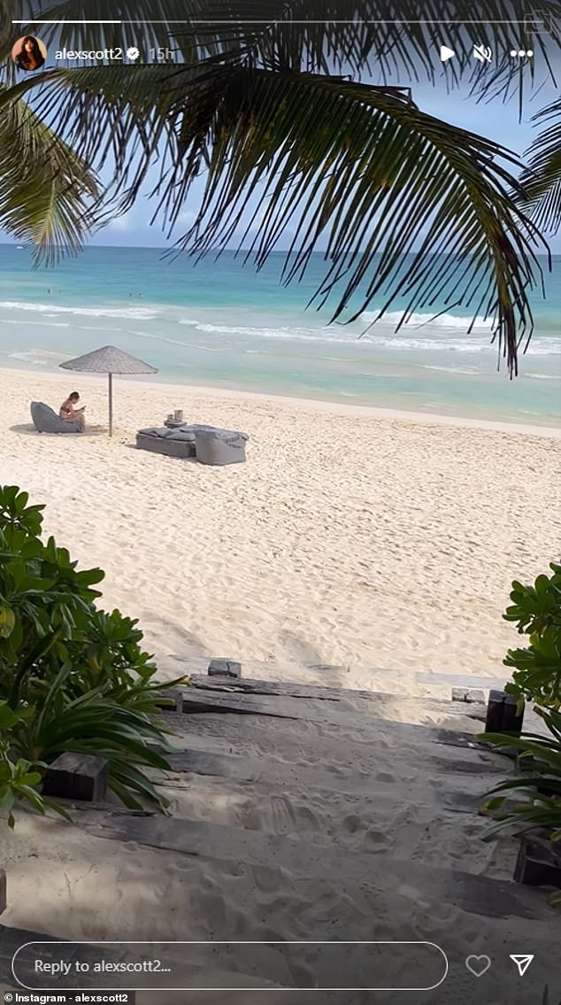 В первом Алекс снимал, казалось бы, пустой пляж, демонстрируя белый песок, красивые пальмы и манящие волны.