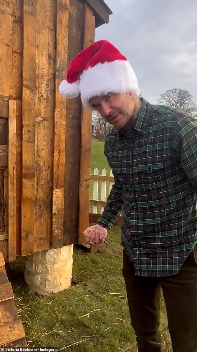 На Рождество Виктория угостила мужа курятником и стаей птиц и поделилась видео, на котором Дэвид наслаждается подарком, а она отпустила очень дерзкую шутку.