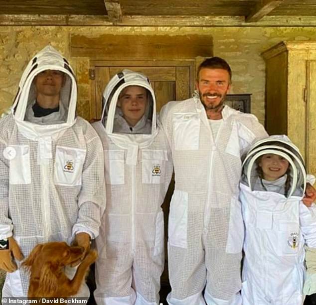 Дэвид Бекхэм — известный фанат, начавший делать свой собственный мед во время изоляции (на фото со своими детьми Ромео, Крузом и Харпером в защитных костюмах в июне).