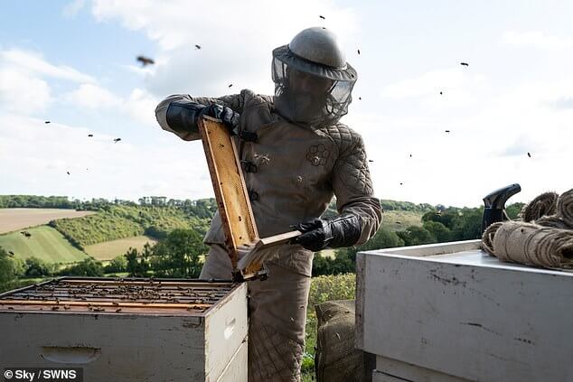 Джейсон Стэтхэм становится последней звездой, получившей ажиотаж в области производства меда, когда он занимается пчеловодством