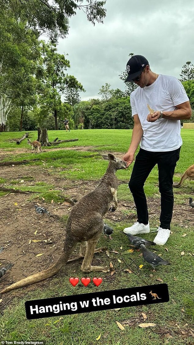 Звезда НФЛ Том Брэди говорит, что он «любит Австралию», когда он близко и лично знакомится с кенгуру во время поездки в Down Under для выступления в туре.
