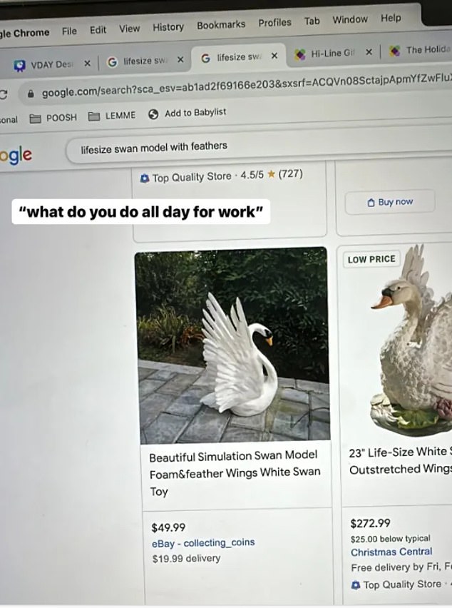 В своей истории в Instagram Лиз показала поиск в Google по запросу «Модель лебедя в натуральную величину с перьями», подписав снимок:"Что ты делаешь весь день на работе?"'