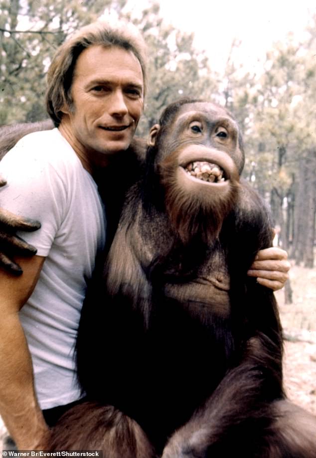 Как и знаменитый приматолог, Иствуд не новичок в приматах: он снялся в фильме 1978 года «В любом случае, но на свободе» вместе со своим приятелем-орангутангом Клайдом (на фото).