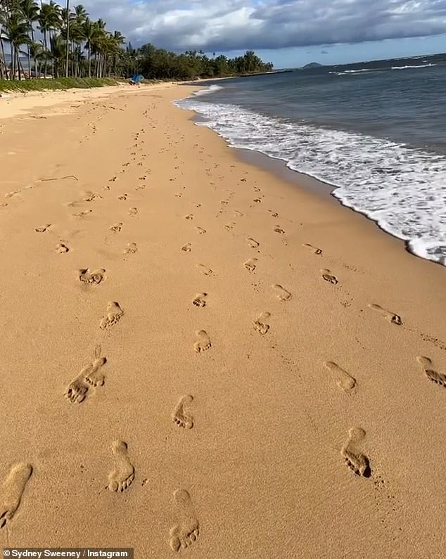Мейер, профессиональный фотограф, похоже, использовала свои творческие способности, чтобы запечатлеть их шаги на песке.