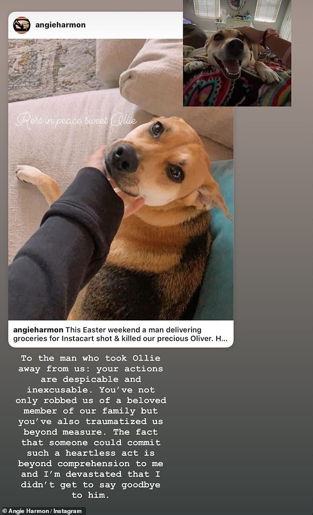 В более позднем посте в Instagram Stories она назвала действия стрелка «презренными и непростительными».