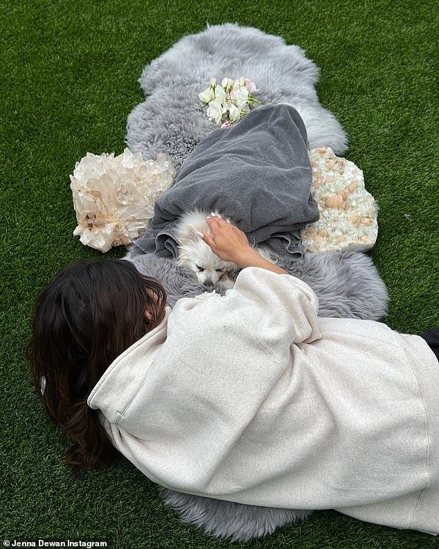 Старшего ребенка, 10-летнего Эверли, исполнительница делит со своим бывшим мужем Татумом, с которым она познакомилась во время работы над «Шаг вперед».