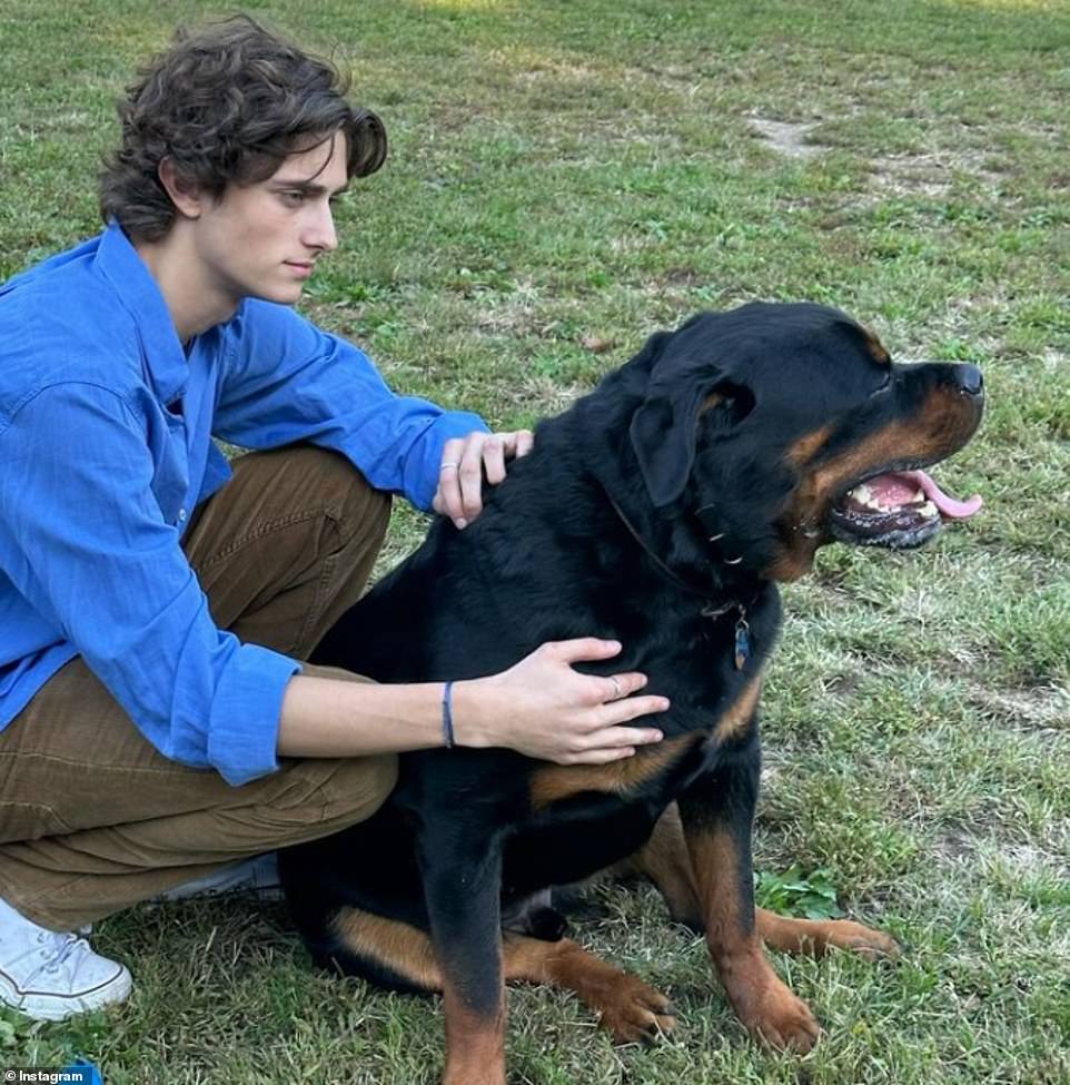 Здесь Тоби виден со своей черной собакой в ​​Instagram, он носит синюю рубашку и коричневые брюки.