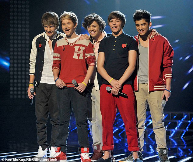 One Direction прославились на X Factor в 2010 году и стали крупнейшей поп-группой Великобритании со времен The Beatles.